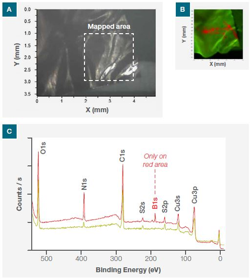 (a) Optical image of the sample from one of the three Nexsa Surface Analysis System cameras, (b) N1s nitride XPS SnapMap image of the mapped area and (c) XPS survey spectra at the points P1 and P2 shown in (b).