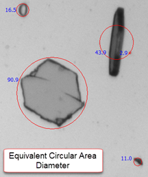 Particle Size, Shape, Concentration and Classification in Real-Time for In-Process Testing