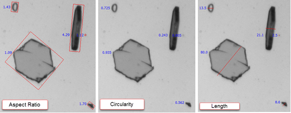 Particle Size, Shape, Concentration and Classification in Real-Time for In-Process Testing