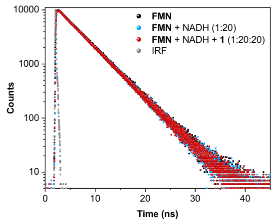 Fluorescence lifetimes of FMN, FMN + NADH, and FMN + NADH + PtIV substrate 1, showing no quenching changes to the singlet lifetime of 4.7 ns for the native FMN. Excitation wavelength was 445 nm and the emission wavelength was monitored at 540 nm, the emission peak of FMN.