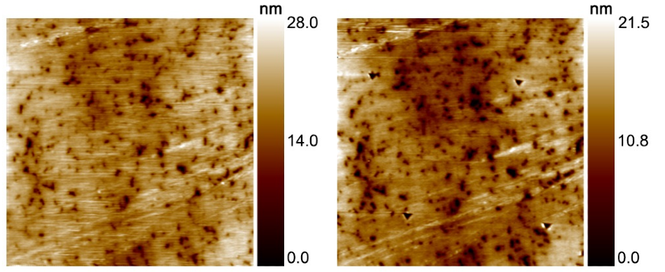 In-situ SPM image of polished nitride hard coating showing pre-test (left) and post-test (right). Image scan size was 20 µm.