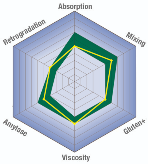 The integrated MIXOLAB 2 software measures each of the standard curve parameters and converts them into six qualitative indexes.