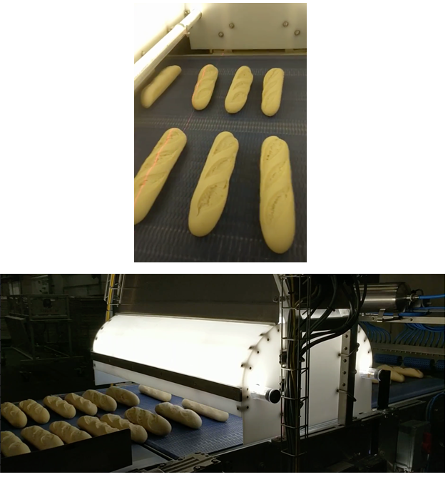Par-baked baguettes passing through the vision inspection system.
