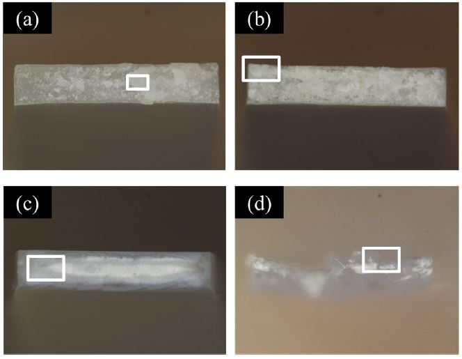 Images of Fracture Surfaces of Specimens after Test. (a) CNF10%/HDPE, 100 /s, (b) CNF10%/HDPE, 0.0001 /s, (c) HDPE, 100 /s, (d) HDPE, 0.0001 /s.