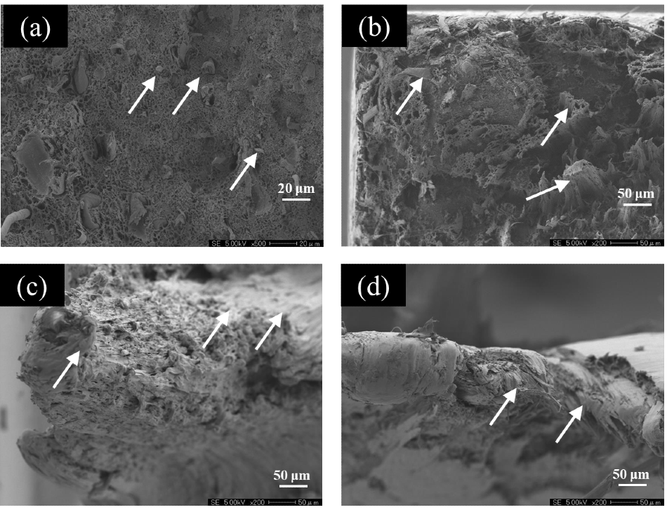 EPMA Observation Images of Fracture Surfaces. (a) CNF10%/HDPE, 100 /s, (b) CNF10%/HDPE, 0.0001 /s, (c) HDPE, 100 /s, (d) HDPE, 0.0001 /s.