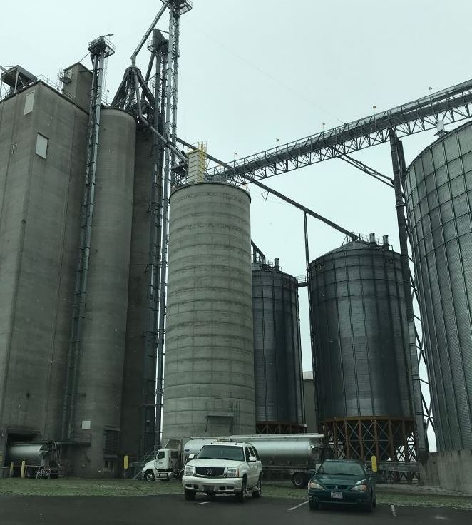 This poultry producer has a strong corporate safety culture making an automated inventory system a great fit. BinMaster level sensors eliminate the need to climb bins to check levels, which make the workplace safer for the mill