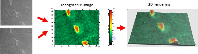 Creating surface topography 3D representation through acquisition of stereo pair of images. Rendering generated using MountainMaps (Digital Surf) software.
