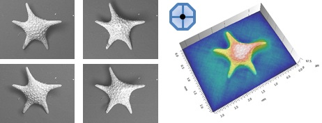 LIVE 3D surface representation during SEM observation using multi-segmented backscatter detector.