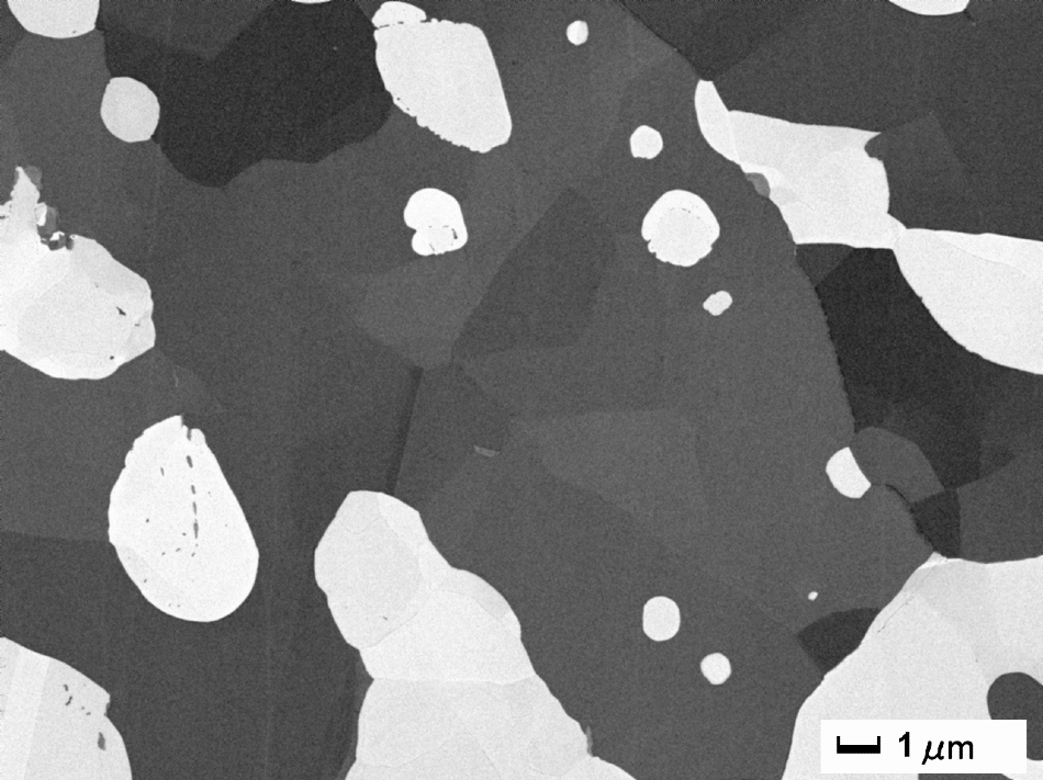 A BSEI of cross-sectional plane with the specimen cooling