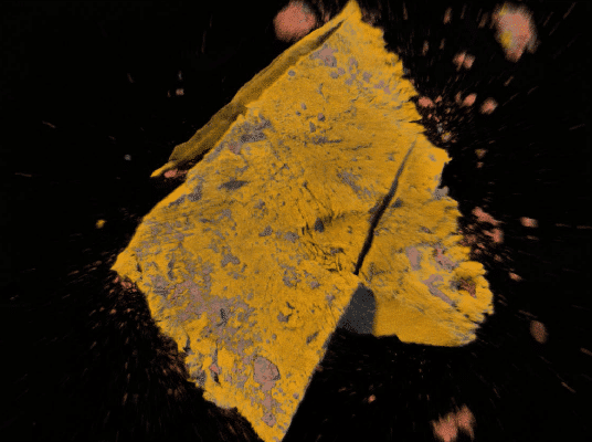 The Process and Applications of Scanning Electron Microscopy