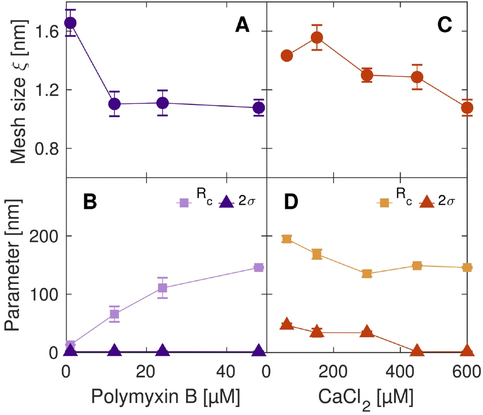 Structural parameters of the microgels, extracted from the SAXS data as a function of the amount of peptide loaded (Polymyxin) and crosslinker (CaCl2 ) respectively.