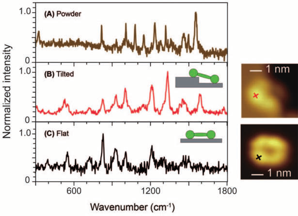 Single-molecule TERS of a porphyrin derivate examined with UHV-STM at low temperatures. (A) The Raman spectrum from powder represents many orientations, whereas (B) TERS was able to resolve a molecule tilt, and (C) also shows single-molecule resolution on a flatly oriented molecule. Especially the differences between TERS spectra (B) and (C) are remarkable.