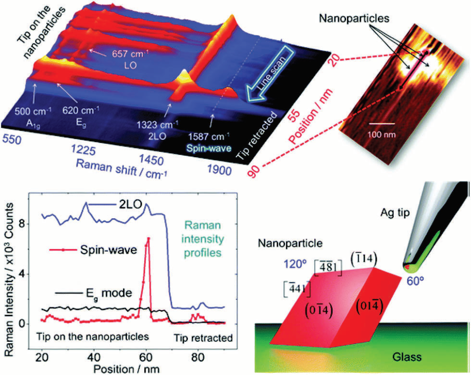 a) Tip-enhanced Raman spectra in a line scan along the nano-particles/glass interface. The stacking representation shows several first order modes below 700 cm-1, the 2LO mode around 1323 cm-1 and the spin-wave mode around 1587 cm-1. The step size used to obtain this set of spectra was 1 nm. In the inset is shown the AFM image acquired during the TERS line scan (b) intensity profiles of three modes along the line scan showing the sharp increase in the spin-wave intensity when the TERS tip is on the nanoparticle. This is followed by a decrease in the intensity of all modes when the tip was retracted (tip off). (c) A sketch of the tip–nanoparticle configuration shows the anisotropy between the two sides of the particle with respect to the tip. Crystallographic facets and edges are set according to Rodriguez et al.27
