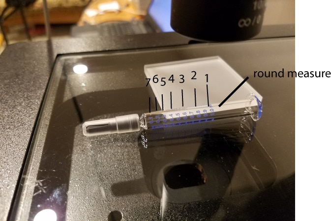 Syringe cartridge is placed on the MProbeVis-MSP table.