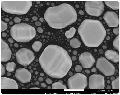 SEM Image of a gold on carbon test sample