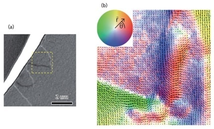 (a) Lorentz TEM image of a Ni film, detailing magnetic domain walls; (b) Map of the magnetic field of the same region in (a), acquired in DPC STEM. The deflection of the incident beam when passing through a ferromagnetic specimen can be captured in the CBED pattern recorded at probe position in a 4D STEM dataset. The magnitude and direction of this shift can be directly measured, as shown