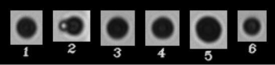 Black printer toner particles imaged by FlowCam. The particle ID number is shown beneath each image and correlates with the data in Table 1.