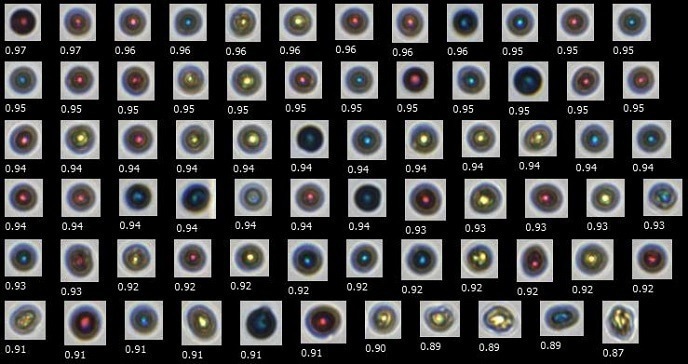 Color printer toner particles imaged by FlowCam. Circularity value is shown beneath each image. Particles are shown in order of decreasing circularity, where 1.00 is a perfect circle.