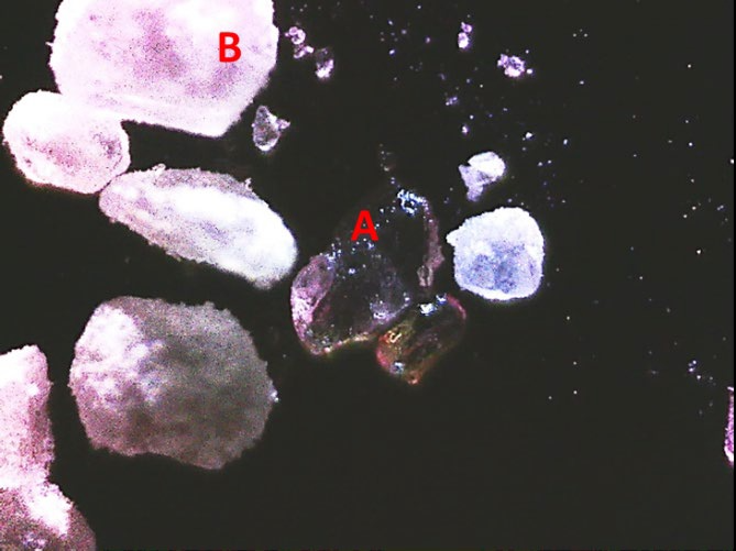 Visible image of contaminated citric acid captured with the SurveyIR microscope using oblique illumination showing both discolored (A) and white (B) crystals.