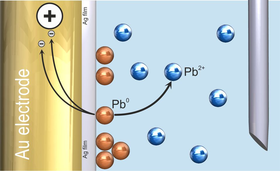 Anodic stripping voltammetry (ASV) with Ag film modified scTrace Gold electrode – stripping of lead (solution not stirred