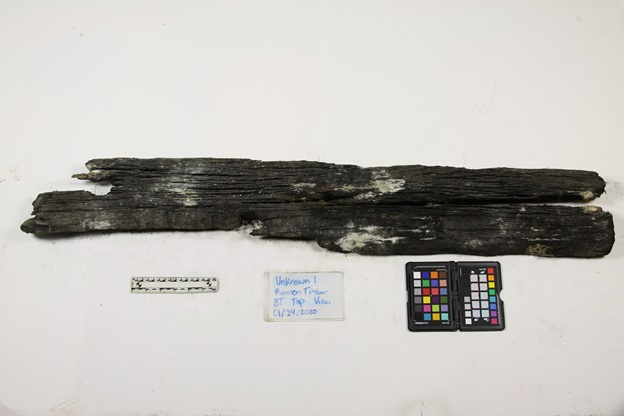 A Princess Carolina timber currently deteriorating as a result of acidification. Image courtesy of The Mariners’ Museum and Park