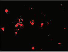 An Introduction to Particle Analysis Software