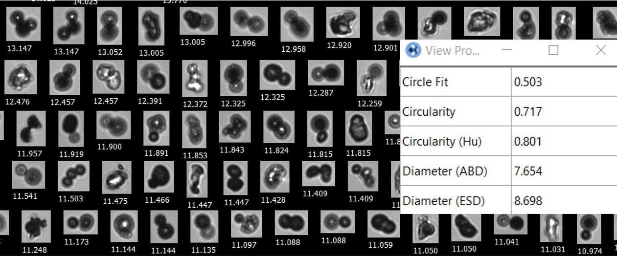 Using Flow Imaging Microscopy to Enhance Particle Analysis of Printer Toner
