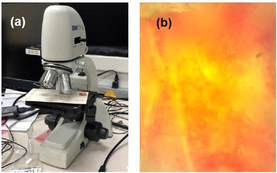 (a) Ink samples on the Raman video microscope stage and (b) image of area 2 red ink at 50x magnification.