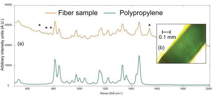 (a) Raman spectra of a teal fiber (orange) compared to a reference spectrum of polypropylene (green) and (b) photomicrograph of teal fiber. The asterisks denote peaks that can be attributed to the colorant used in the plastic.