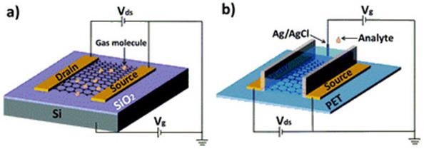 (a) Typical back-gate GFET on Si/SiO2 substrate used as gas sensor. (b) Typical solution-gate GFET on flexible polyethylene terephthalate (PET) substrate used as chemical and biological sensor in aqueous solution. Reproduced from reference 31 with permission from the Centre National de la Recherche Scientifique (CNRS) and The Royal Society of Chemistry.