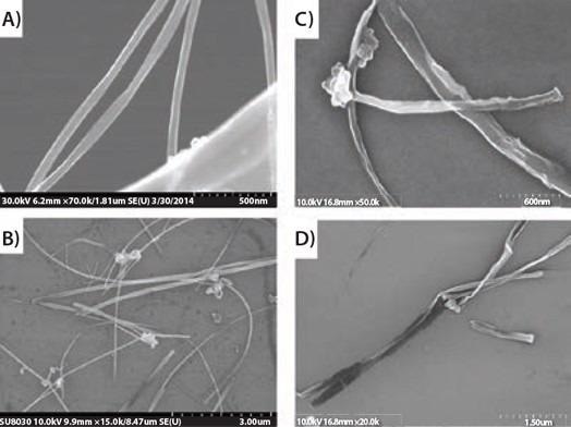 SEM images of (A) and (B) MWCNTs and (C) and (D) fully unzipped MWCNTs.