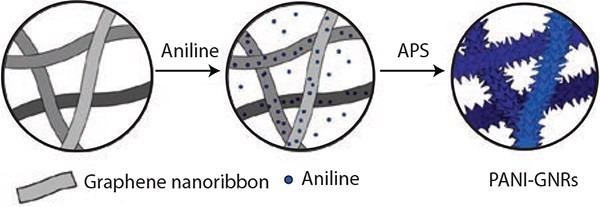 Illustration of the synthesis of the PANI-GNRs composite with PANI polymerized directly on the GNRs using APS (ammonium persulfate).