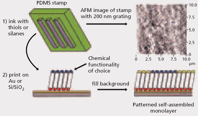Schematic overview of microcontact printing (mCP)