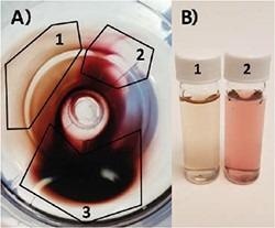A) Top-down view of centrifuge tube containing gold nanoparticle pellet. Particles partially separate according to size and particle geometry: 1) Very high shape purity nanorod population. 2) Primarily nanosphere population. 3) Mix of both populations. B) Photo of (1) highly purified gold nanorods and (2) primarily spheres from pellet in A).