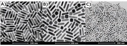 TEM’s of gold nanorods illustrating selection bias. A) Section of TEM grid indicates high purity rod synthesis. B) Different section of same grid shown by (A) indicates a large number of impurities in sample. C) TEM demonstrates shape segregation drying pattern on TEM grid.