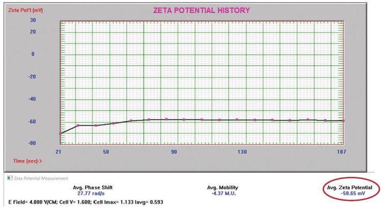 Negatively charged alumina abrasive zeta potential.