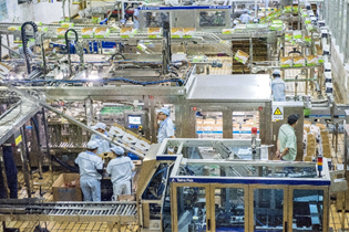 Industrial Food & Beverage Processing Machinery: Tracing Polymer Seals & Materials Technologies