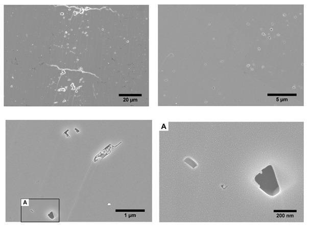 Secondary Electron Image of intraparticle pores of shale sample A-068-134, shown at four different magnifications.