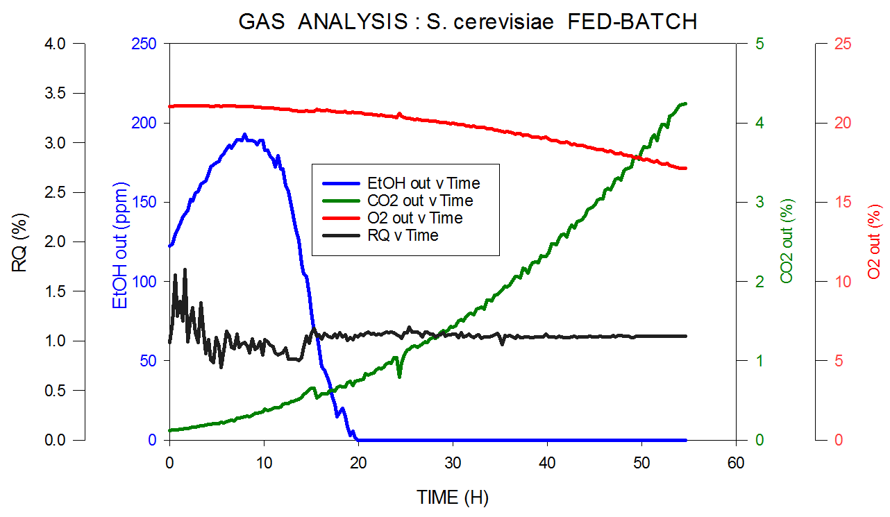 Off-gas and RQ data generated by MS from S. cerevisiae fed-batch fermentation.