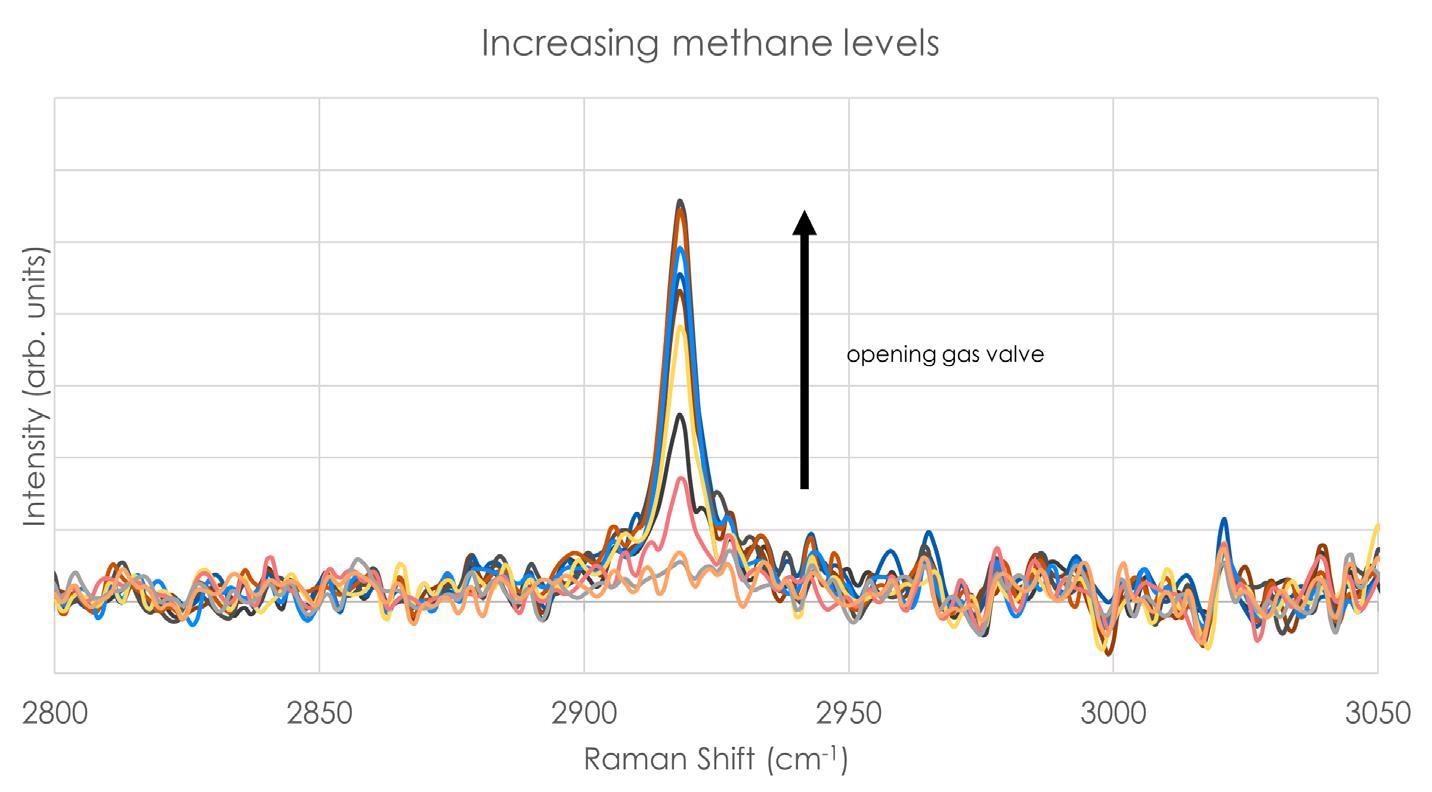 Using In-Line Raman Spectroscopy for Natural Gas Monitoring