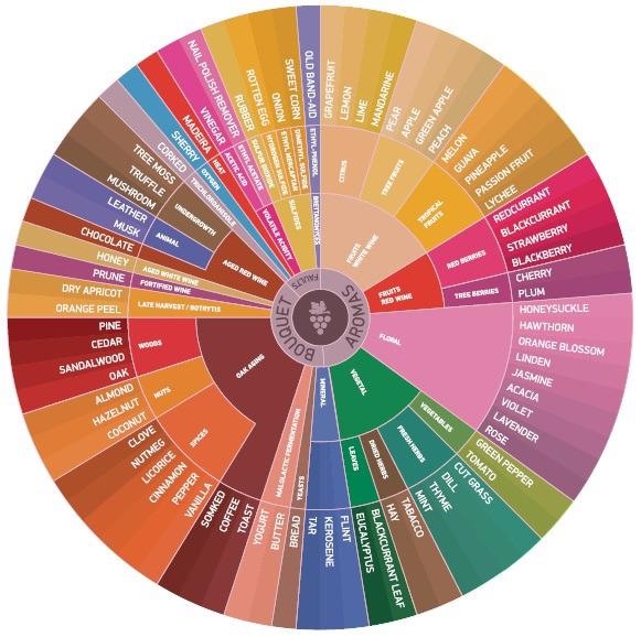 Winemaking: Removing the Subjectivity