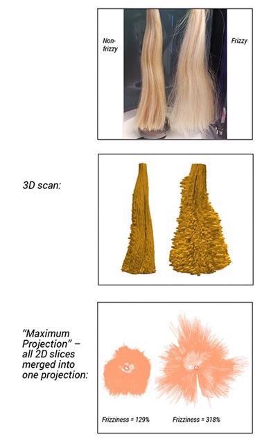 Comparison of two tress samples; 3D scans of tresses; maximum projection scans