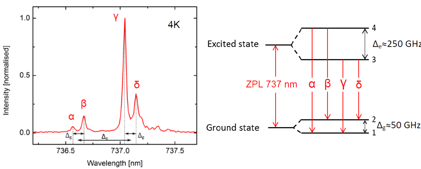 Normalized emission spectrum and state transitions of SiV -.