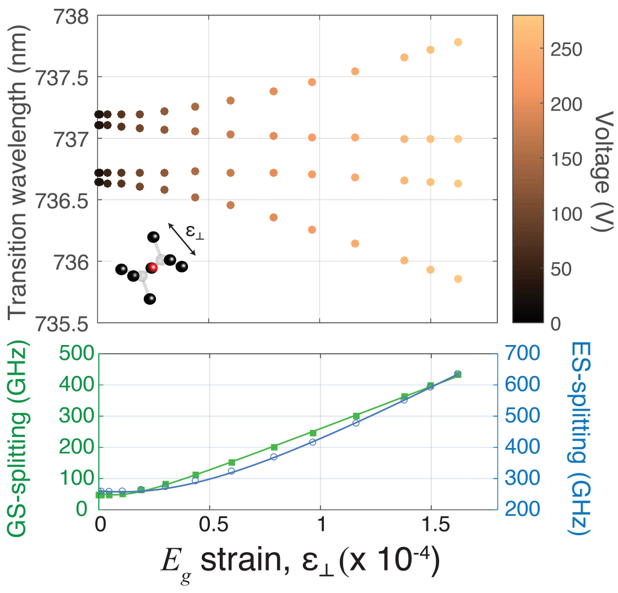 Strain-induced ground-state splitting of SiV -.