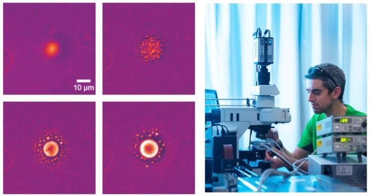 (Left) LIPS and Nucleation (LIPSaN) experiments in nitrobenzene–decane at T = 23.9 °C with a 120-mW 785-nm focused laser, on for 30 s. When the laser is switched on a LIPS droplet forms, but nucleation only occurs once the laser is switched off. (Right) Finlay using the setup with a THMS600. Images used with permission of Finlay Walton and Klaas Wynne.