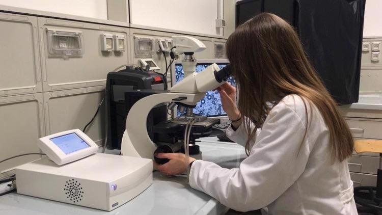 Students look at structured emulsions under the microscope using various Linkam stages in the lab at the University of Udine