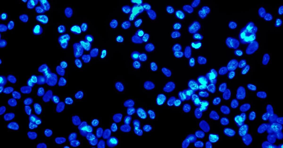 Biomedical Imaging: Guide to Choosing Machine Vision Camera Specifications and How to Calculate Them