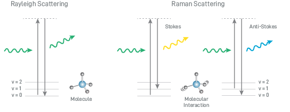 What is Raman Spectroscopy?