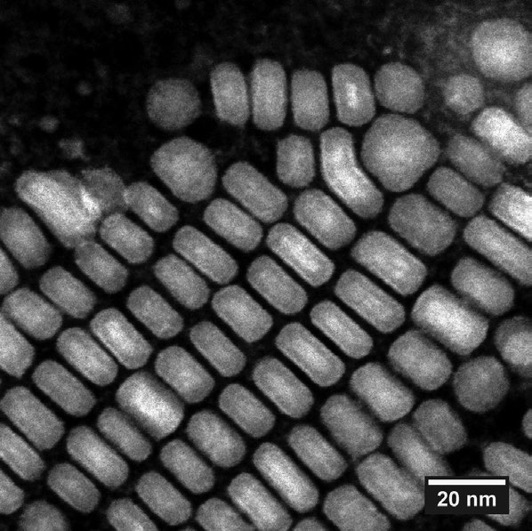 SEM image of nanoparticles with scale