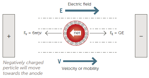 Electrophoretic Light Scattering (ELS) technique